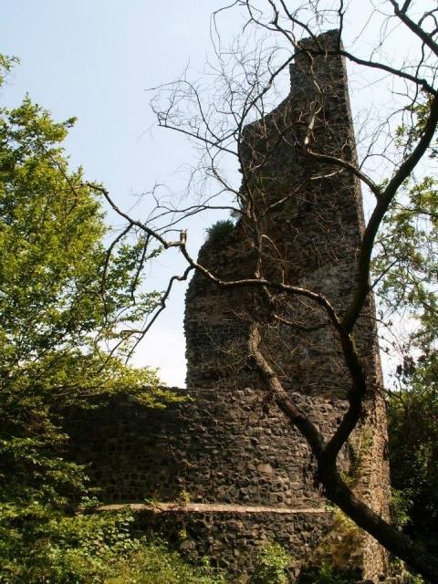 Tomburg Castle (Ruin) (Wormersdorf)
