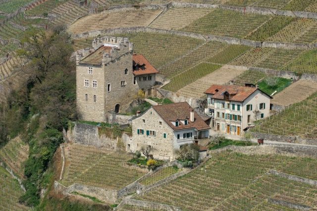 Wohnturm Marsens (Puidoux)