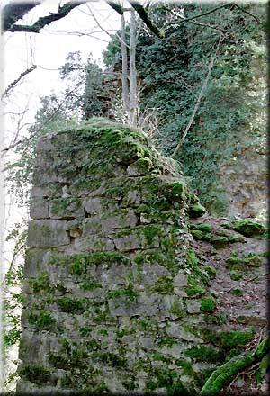 Château Montagny (Ruin)