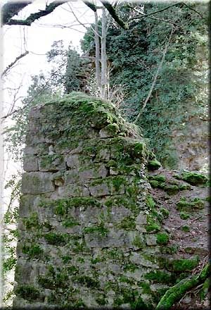 Château Montagny (Ruin)