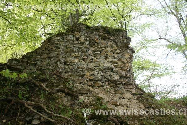 Alt-Homburg Castle