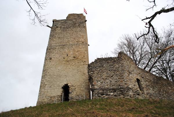 Château Saint Martin du Chêne (Ruin) (Chavannes-le-Chêne)