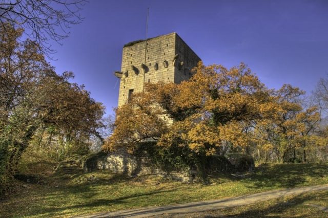 Château Saint Triphon (Ruin)