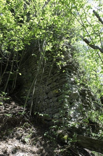 Château Vanel (Ruin) (Rougemont)