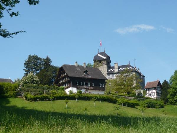 Buonas Castle