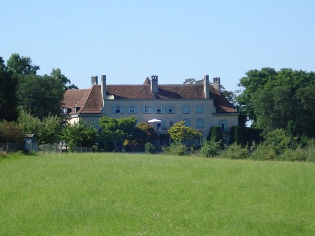 Freudenberg Castle (Rotkreuz)