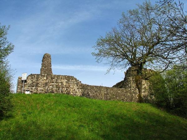 Alt-Regensberg Castle (Ruin) (Regensdorf)