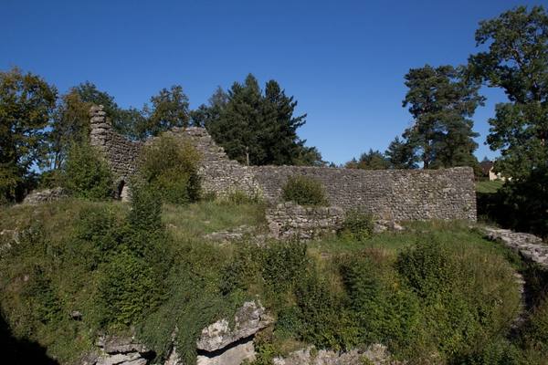 Alt-Wädenswil Castle (Ruin) (Richterswil)