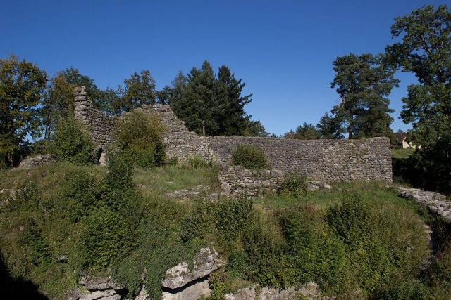 Alt-Wädenswil Castle (Ruin) (Richterswil)