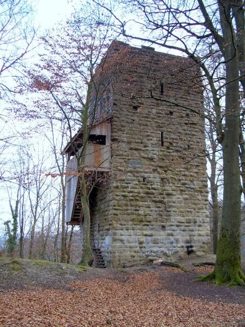 Alt-Wülflingen Castle (Ruin) (Winterthur)