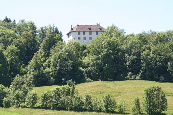 Elgg Castle