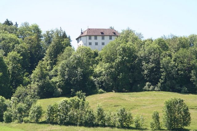 Elgg Castle