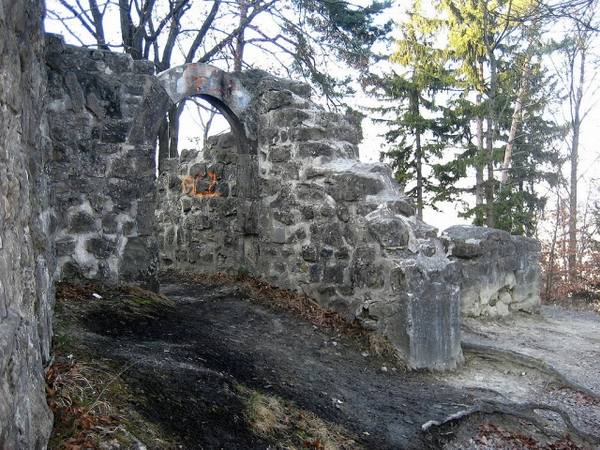 Friesenberg Castle (Ruin)