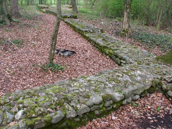 Glanzenberg Castle (Ruin) (Unterengstringen)
