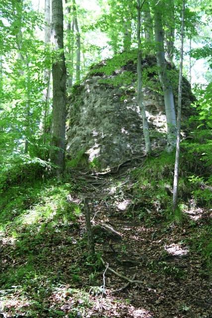 Liebenberg Castle (Ruin) (Zell)