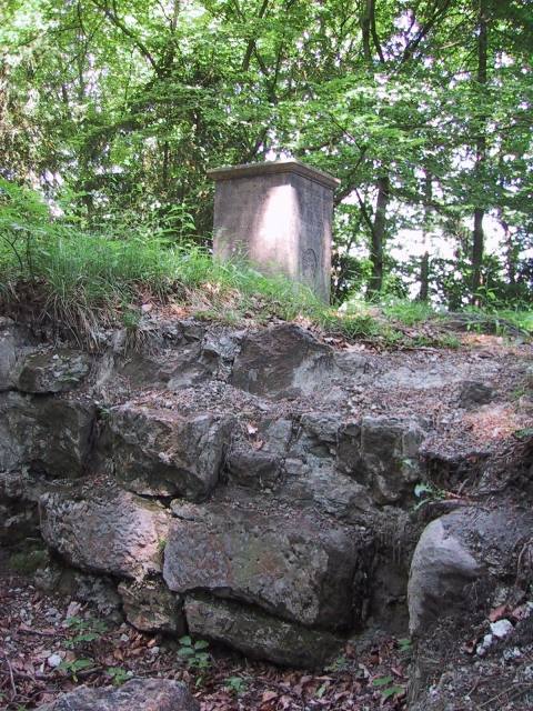 Manegg Castle (Ruin)