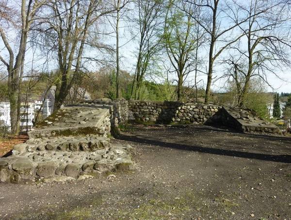 Moosburg Castle (Ruin) (Effretikon)