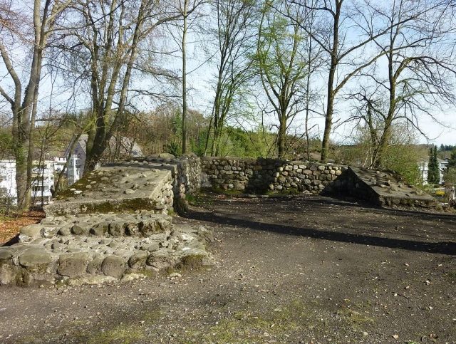 Moosburg Castle (Ruin) (Effretikon)
