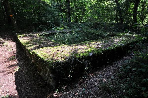 Roman Watchtower Weiach