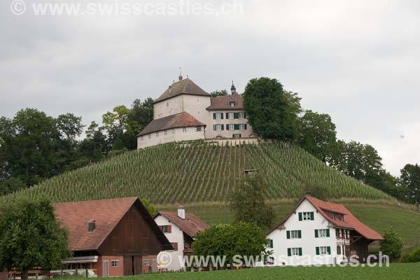 Girsberg Castle (Waltalingen)