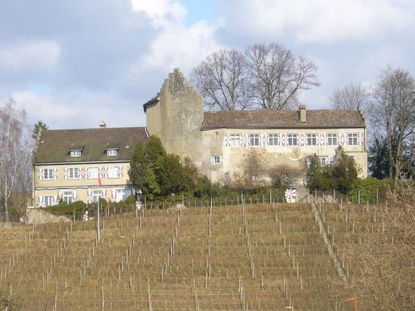 Schwandegg Castle