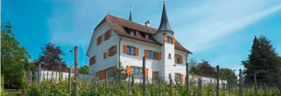 Uitikon Castle