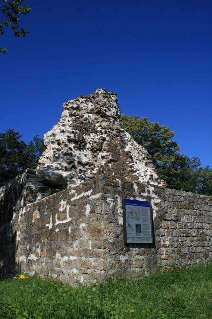 Tegerfelden Castle