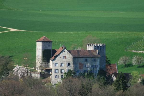 Wildenstein Castle