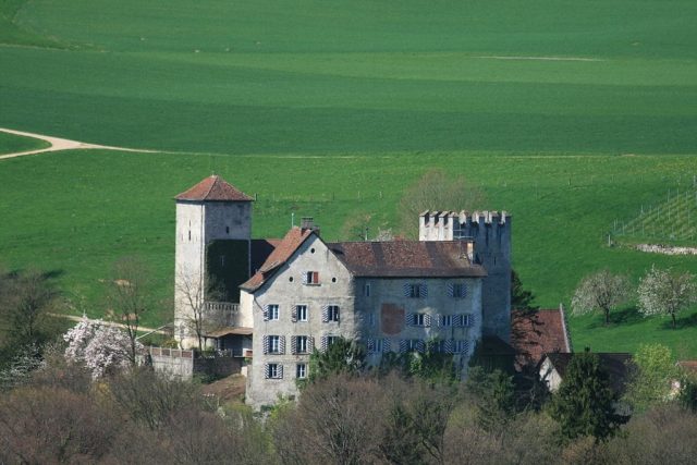 Wildenstein Castle