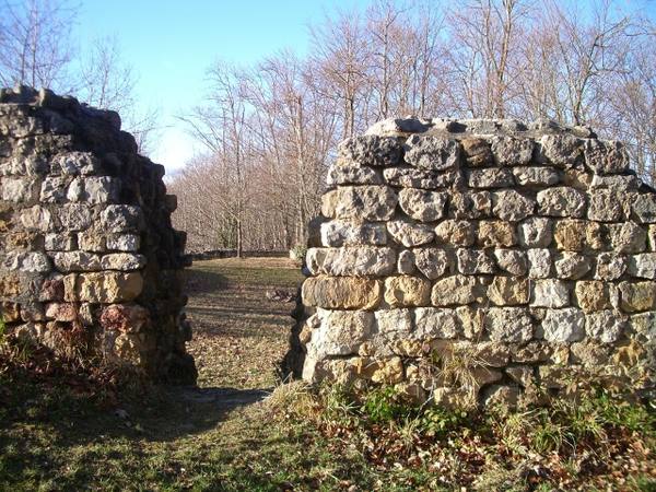 Altenberg Castle (Ruin)