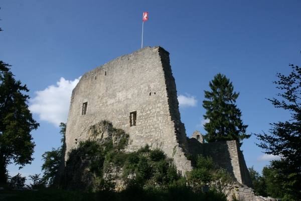 Farnsburg Castle (Ruin)