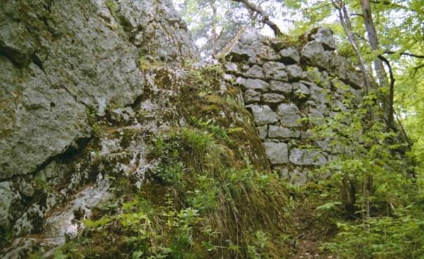 Fürstenstein Caslte (Ruin)