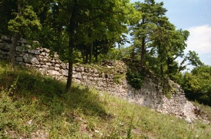 Frohberg Castle (Ruin)