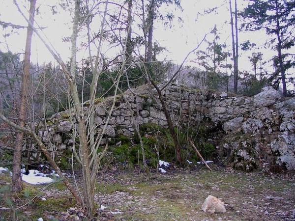 Gutenfels Castle (Ruin)