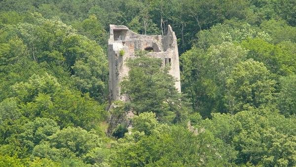 Homburg Castle (Ruin)