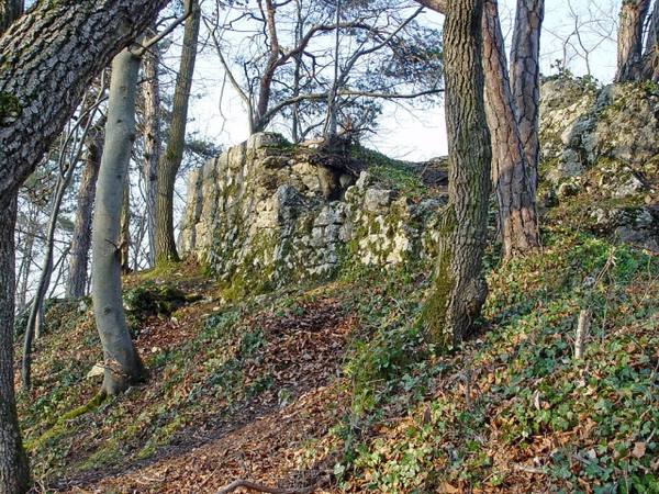 Münchsberg Castle (Ruin)