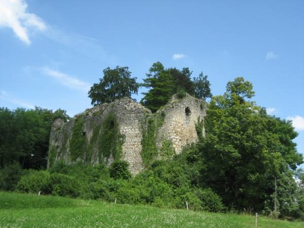 Neu-Schauenburg Castle (Ruin)