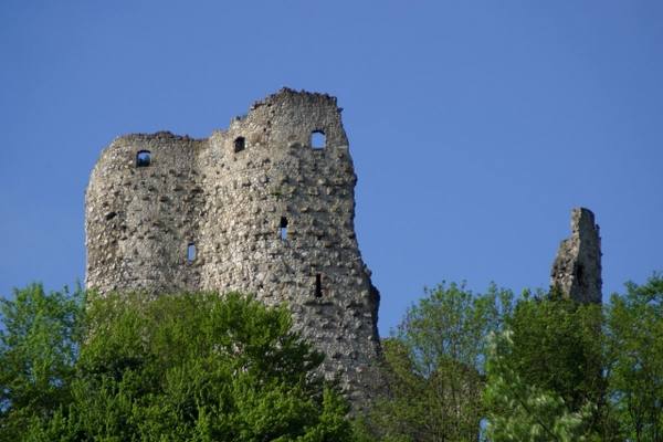 Pfeffingen Castle (Ruin)