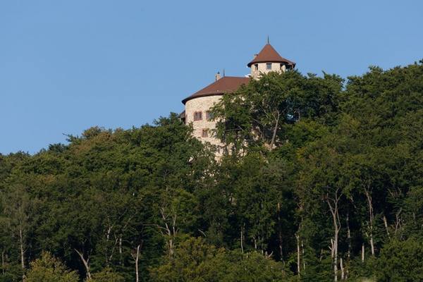 Burg Reichenstein