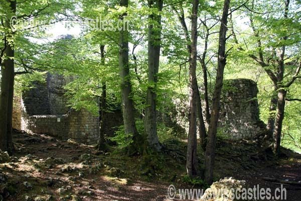 Schalberg Castle (Ruin)