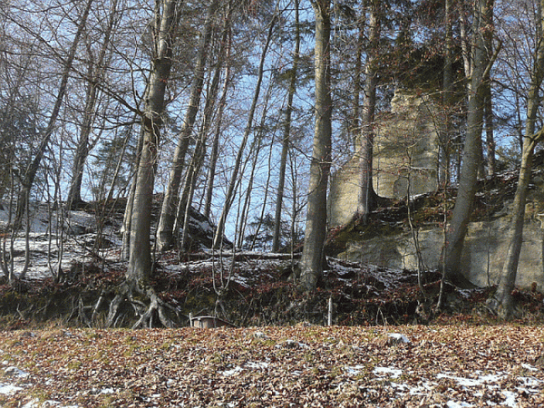 Grimmenstein Castle (Ruin) (Wynigen)