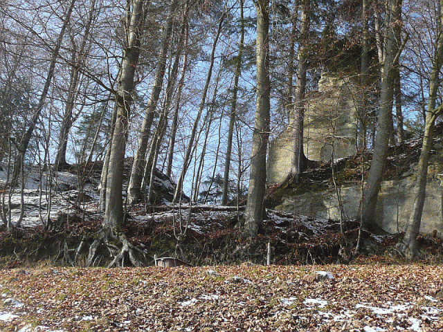 Ruine Grimmenstein (Wynigen)