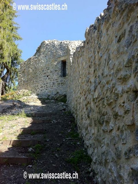 Mannenberg Castle (Ruin) (Zweisimmen)