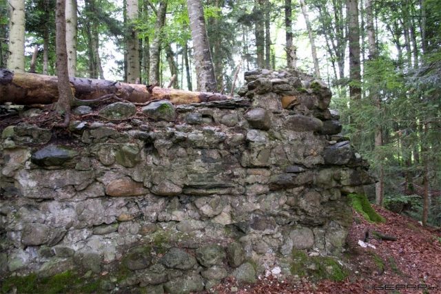 Ruine Riedburg (Köniz)