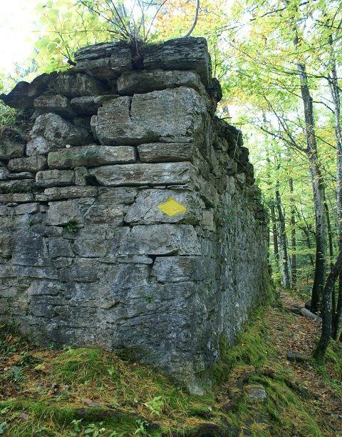 Schadburg Castle (Ruin) (Ringgenberg)