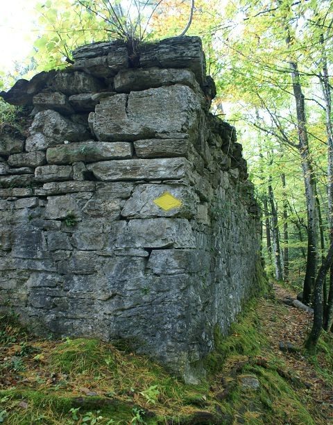 Schadburg Castle (Ruin) (Ringgenberg)