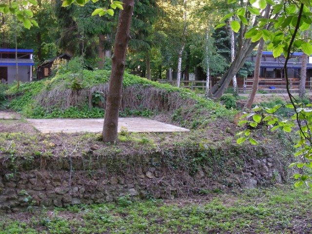Ruine Miel