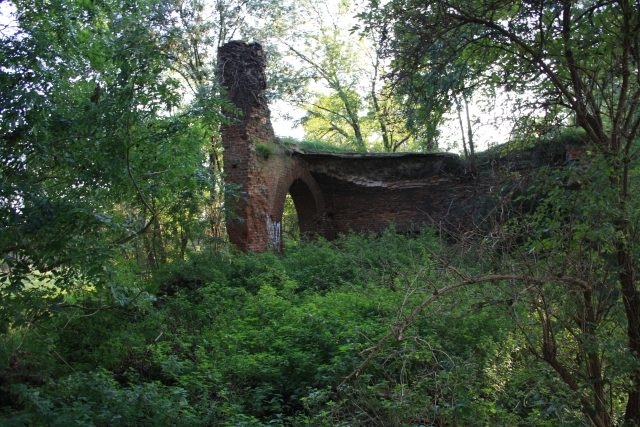 Laach Castle (Ruin) (Elsdorf)