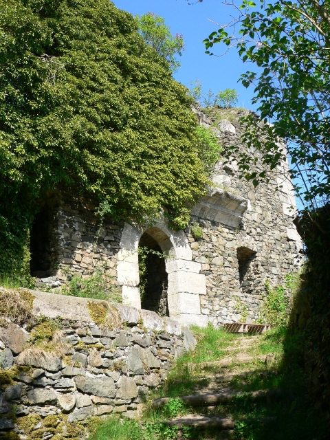 Hohenberneck Castle (Ruin)
