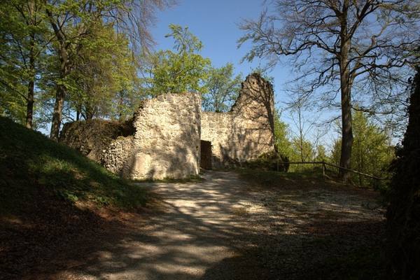 Leienfels Castle (Ruin)